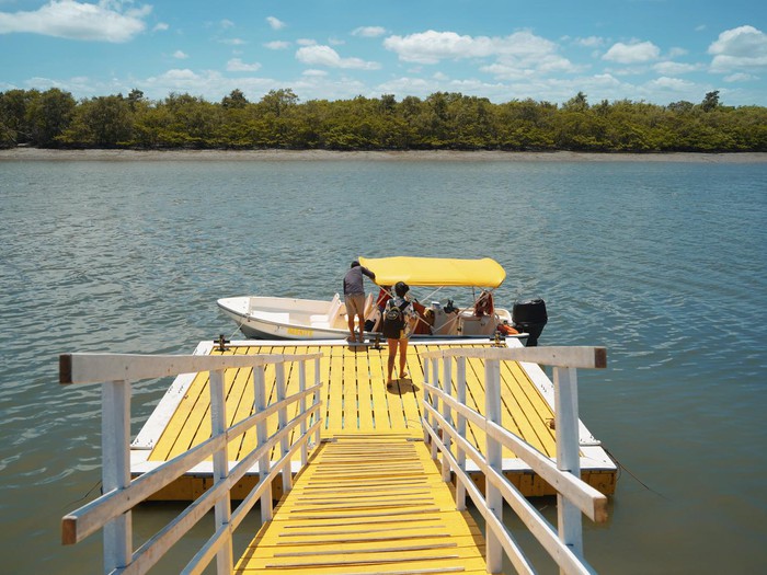 Delta do Parnaíba